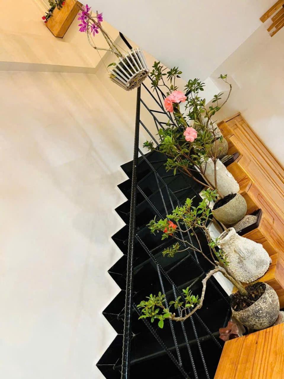 Villa Nho Xinh Khu Chi Lăng Zewnętrze zdjęcie