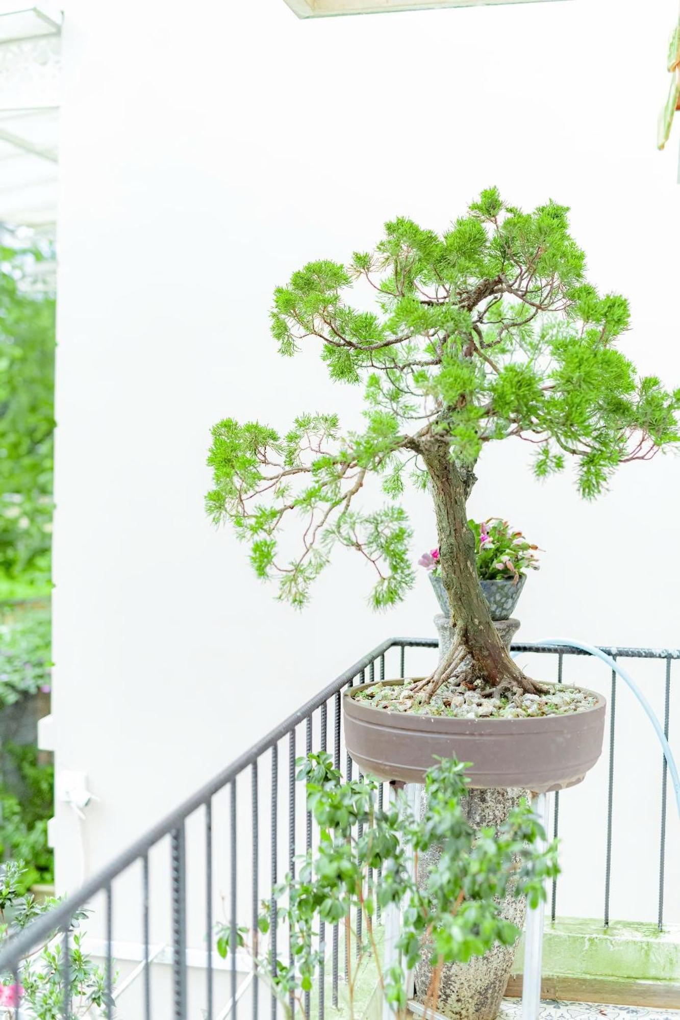 Villa Nho Xinh Khu Chi Lăng Zewnętrze zdjęcie