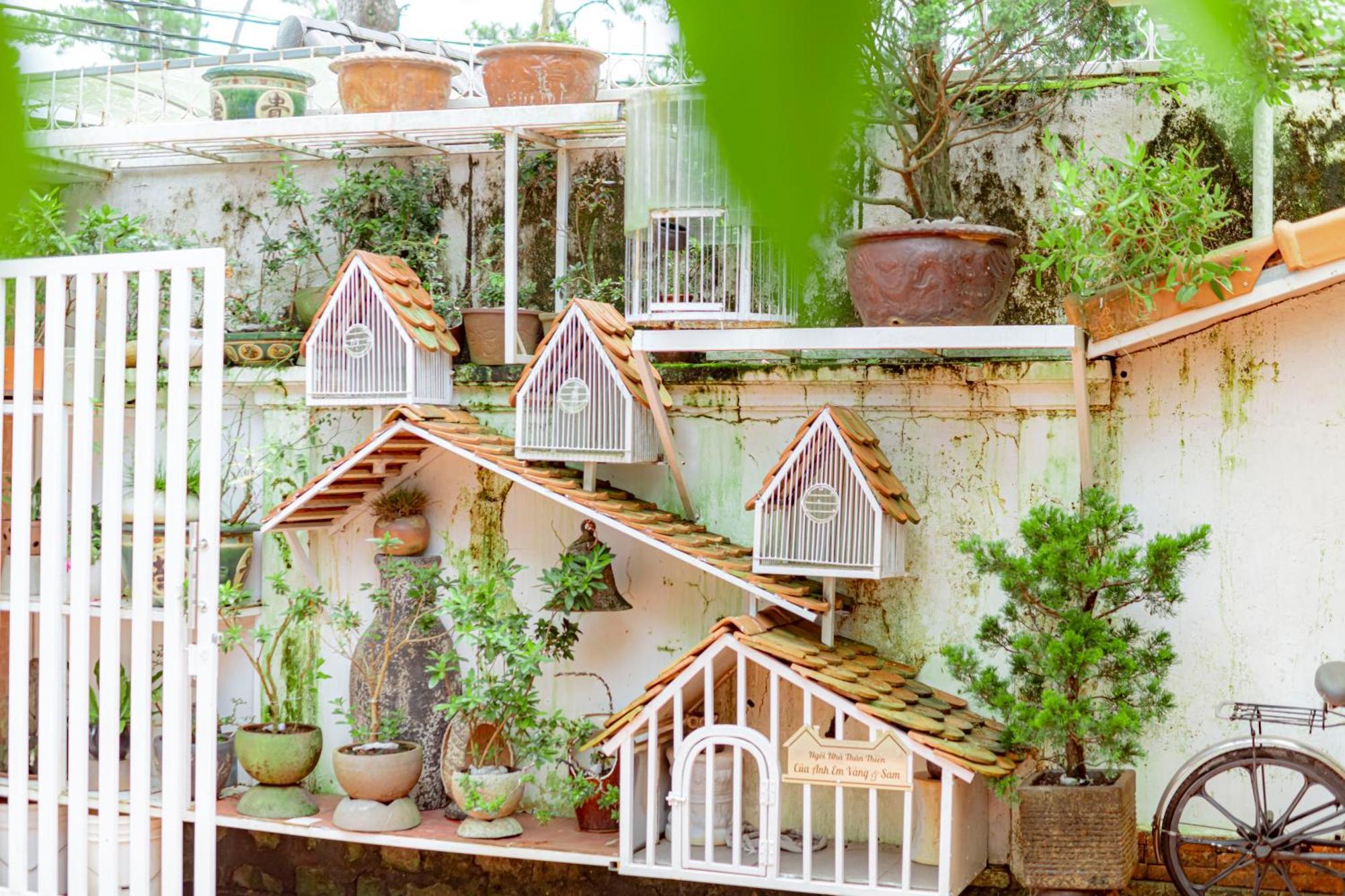 Villa Nho Xinh Khu Chi Lăng Zewnętrze zdjęcie